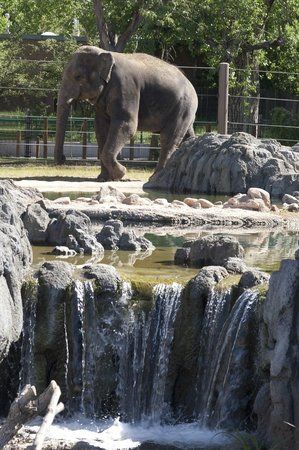 Denver Hayvanat Bahçesi